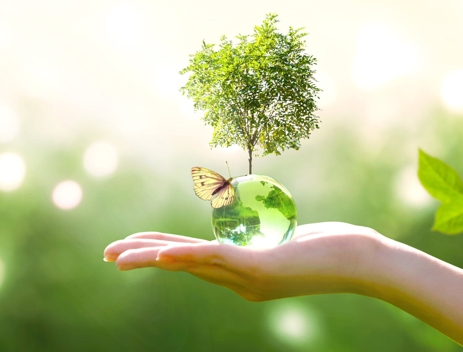 Klimaschutz forcieren
