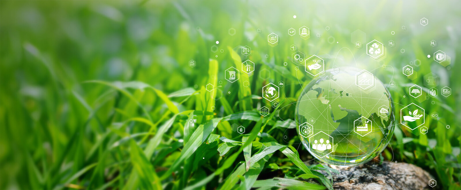 Downloads Zertifikate, Nachhaltigkeit, Umwelt & Verantwortung